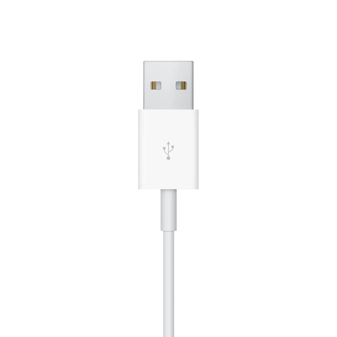 Apple Magnetisk opladningskabel med USB-tilslutning til Apple Watch 1m
