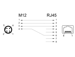 Delock Network Adapter M12 - 4 pin han til RJ45 jack
