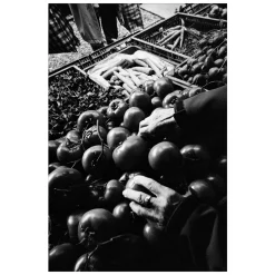 Fujifilm QuickSnap Black and White engangskamera, 27 billeder