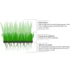 Grimsholm Hybridgræs Premium - 1-1 m