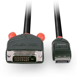 Lindy DisplayPort til DVI-D Kabel - 2 m