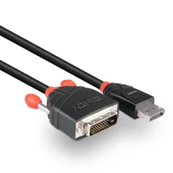 Lindy DisplayPort til DVI-D Kabel - 2 m