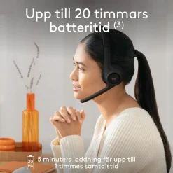 Logitech Zone 300 trådløst Bluetooth-headset, Graphite