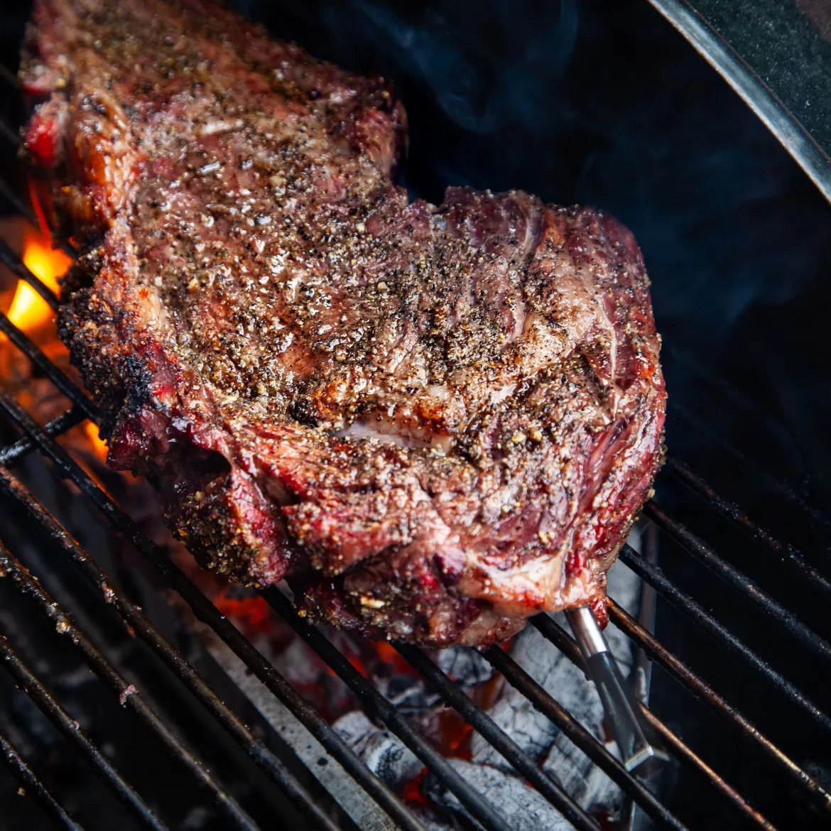 Meater + Trådløs grilltermometer og repeater til mobilen