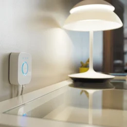Philips Hue Bridge