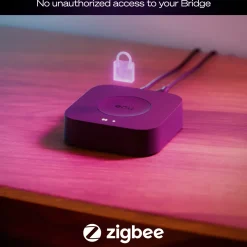 Philips Hue Bridge Pro Broen