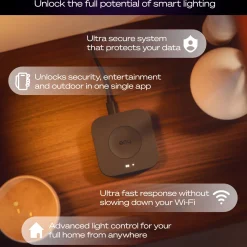 Philips Hue Bridge Pro Broen
