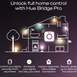 Philips Hue Bridge Pro Broen