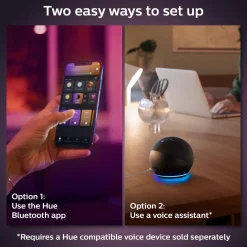 Philips Hue Color Ambiance Smart LED-pære E27 1100 lm 2-pak