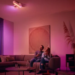 Philips Hue Dim Switch v2 Fjernbetjening