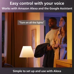 Philips Hue Festlig lyskæde 250 LED