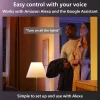 Philips Hue Festoon lyskæde 500 LED