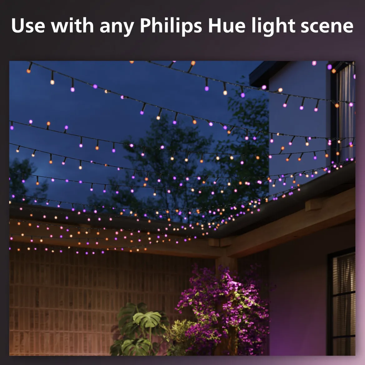 Philips Hue Festoon lyskæde 500 LED