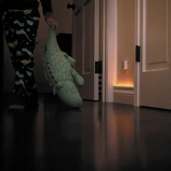Philips Hue Motion sensor