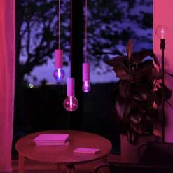Philips Hue RGB G95 Smart LED-pære E27 500 lm