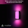 Philips Hue Turaco væglampe til udendørsbrug - Antracit
