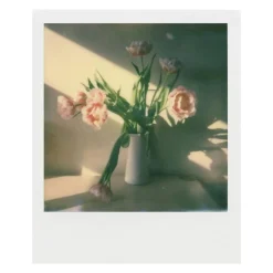 Polaroid Film til Polaroid Now og Onestep 2 i-Type - Farve