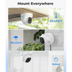 Reolink P324 Dome POE-udendørskamera 5 MP