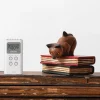 Sangean DT-120 II FM-radio med digital tuner