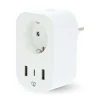 SmartLife Smart Plug med USB