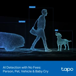 TP-link Tapo C246D Trådløs overvågningskamera