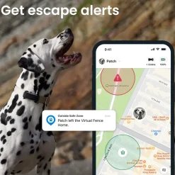 Tractive HUND 6 GPS-tracker