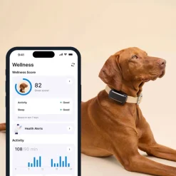 Tractive HUND 6 GPS-tracker