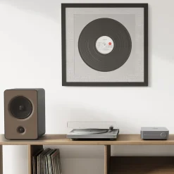 WiiM Forstærker med streaming fra Amp Stereo.